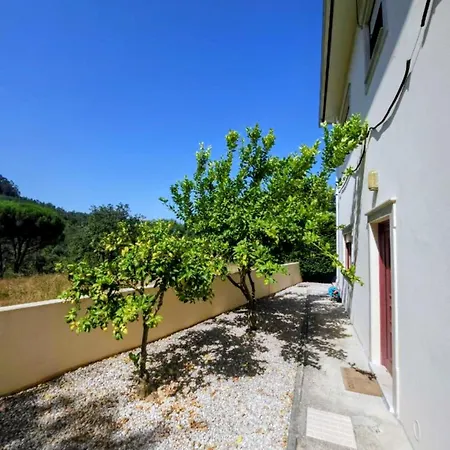 Дом отдыха Vivenda Do Relaxo 